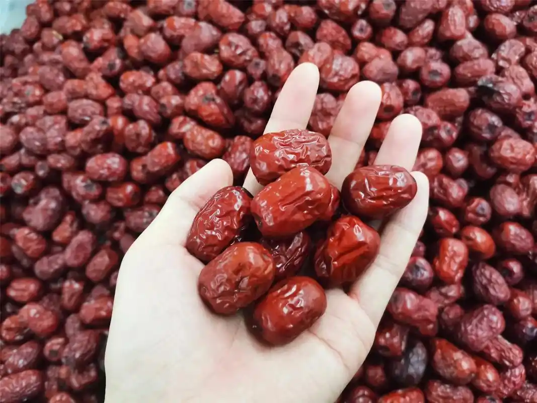 秋天多吃枣买红枣牢记4不买颗颗香甜饱满轻松买好货