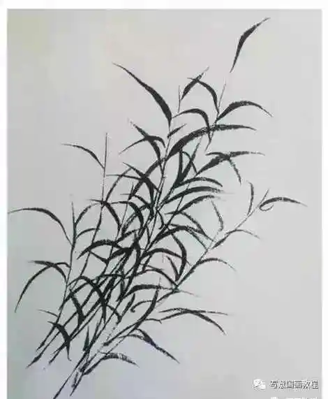 国画芦苇教程:小写意芦苇画法,轻松学习!