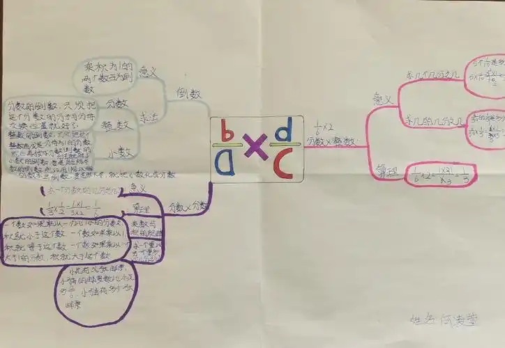 北师大数学五年级第三单元分数乘法单元小结思维导图分享
