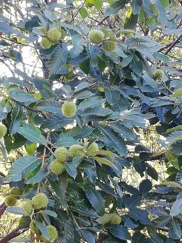 旅游 写美篇旅游很重要的是照相,能让自己老的走不动时翻翻看看老照片