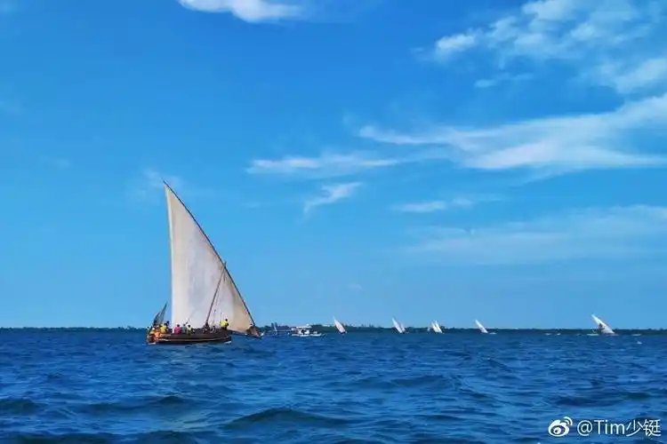 第七夜:千帆过尽,余生不悔