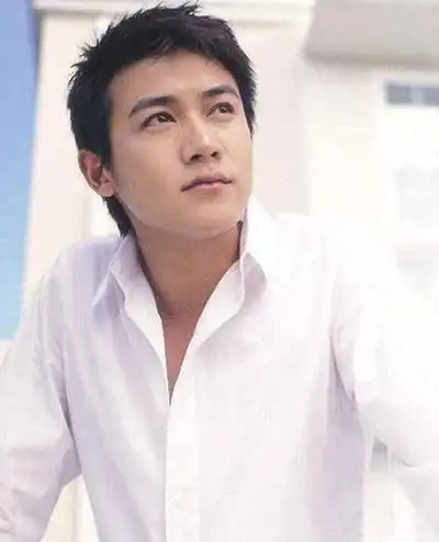 陆毅年轻时最帅的照片震惊许多人到底长什么样