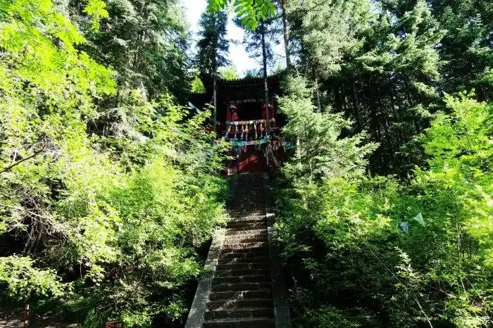 清静幽雅的芦芽山情人谷