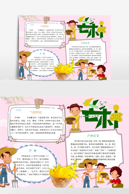 芒种小报手抄报