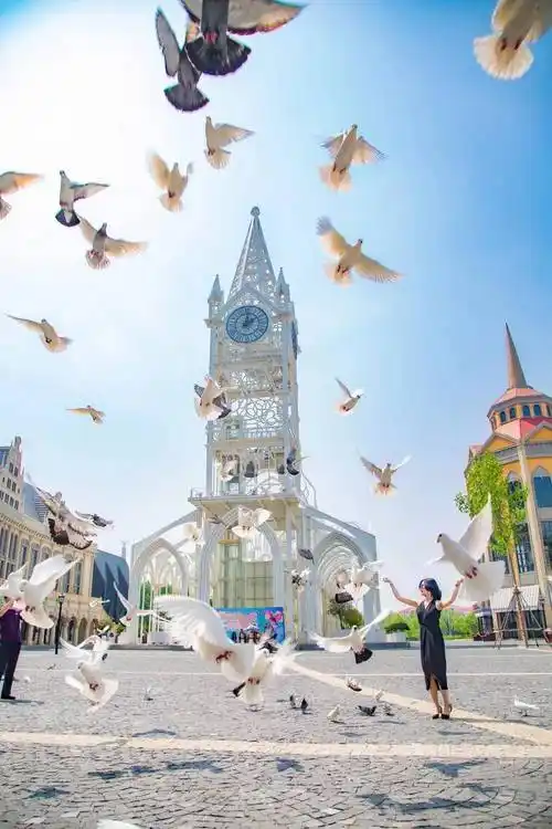 山东旅游打卡地青岛红树林!让有趣的灵魂在繁花艺术节相见