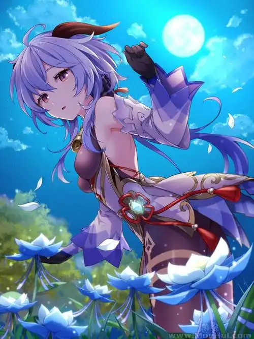 会员原神甘雨高清图片cg包795p