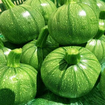 德骊嘉云南小圆瓜圆形西葫芦新鲜蔬菜嫩小金瓜嫩南瓜绿皮瓜 精选5斤