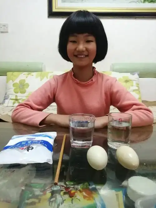 科学小实验《漂浮在水面上的鸡蛋》徽县实验小学三年级二班齐子璇