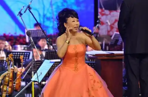 女高音歌唱家宋丽华办个唱北京开唱盛况空前