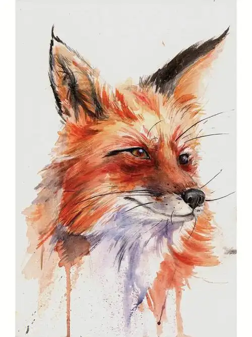 狐狸水彩