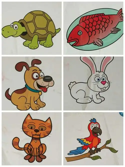 乌龟turtle      鱼fish    小狗dog         猫cat     小鸟 bird