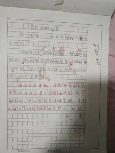 新二年级作文《帮妈妈做家务》展示