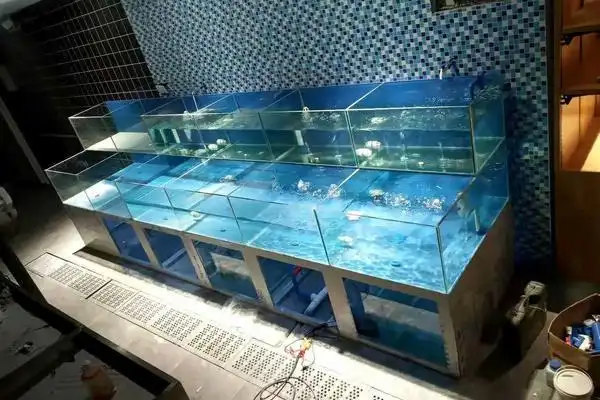 定做超市鱼缸 酒店鱼缸 海鲜池