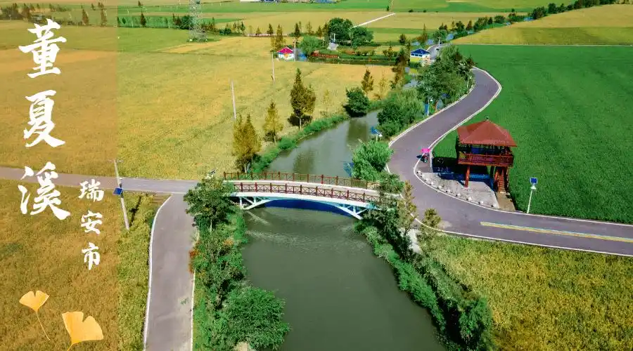 温州美丽河湖靓了,来感受"诗意之美"!_河网_瑞安市_年度