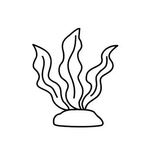 水草简笔画怎么画海洋世界怎么画海洋世界简笔画简单又漂亮彩色海底