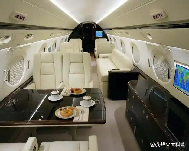 23个型号各国土豪才买得起的私人行政飞机结构剖视图