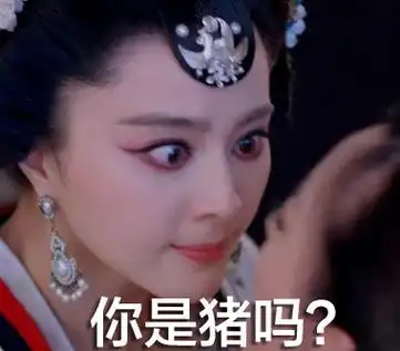 你是猪吗? - 霸气的武媚娘表情包_武媚娘_范冰冰表情