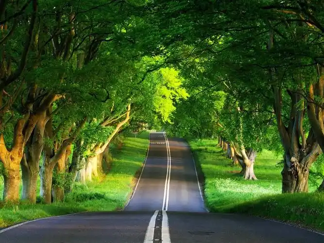 道路夏天-美丽自然风光桌面壁纸
