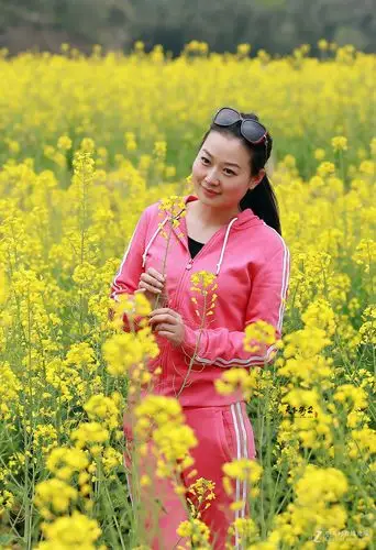 油菜花人像一组
