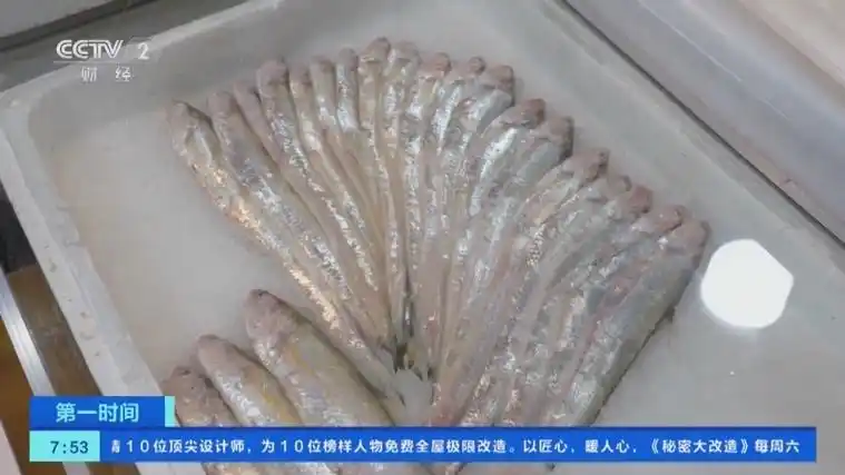 [第一时间]江苏南通:海刀鱼新鲜上市 量少价升