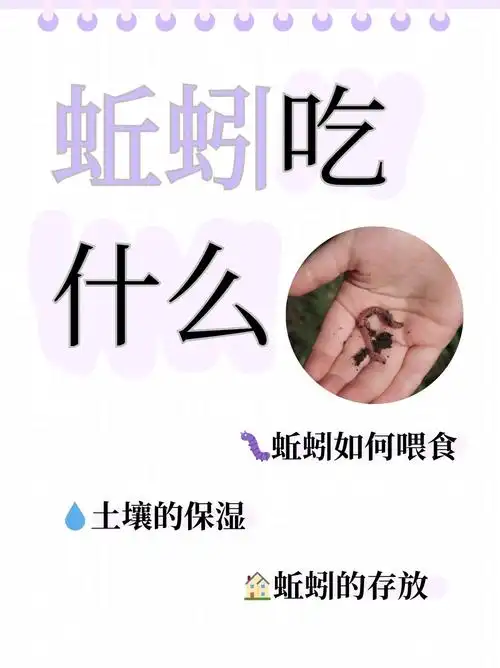蚯蚓吃什么  蚯蚓的"大餐"时间!