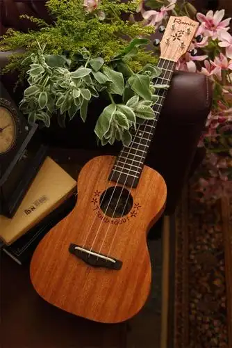 {{{淘宝店:乐不止}}}