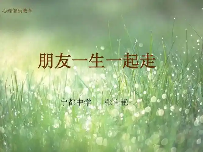 朋友一生一起走ppt