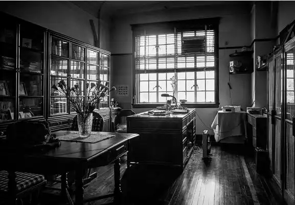 如此城市|作家陈丹燕:梧桐区曾经败落,却充满诗意