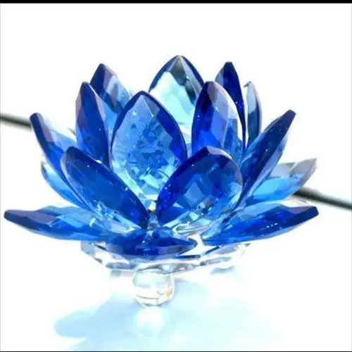 第一章,冰莲花开-星海云河最新章节-免费小说-全文免费阅读-星海云河