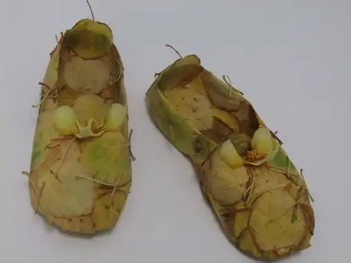 fall leaf ballet slippers