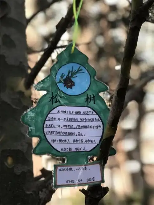 西安经开十四小开展植树节活动