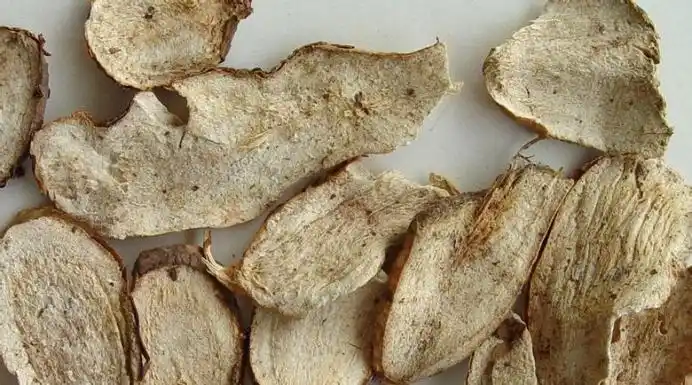 白蔹的功效与作用