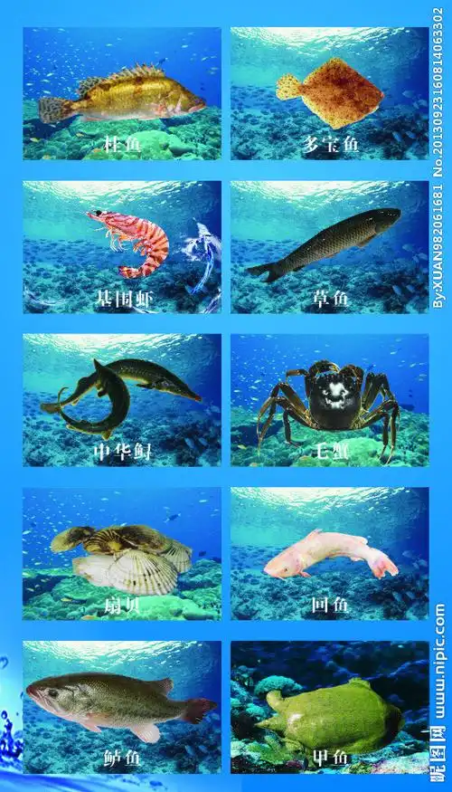 海鲜图片