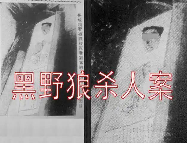 【新香港十大奇案】香港长城别墅毁尸案,凶手黑野狼叫嚣求警察破案,罪