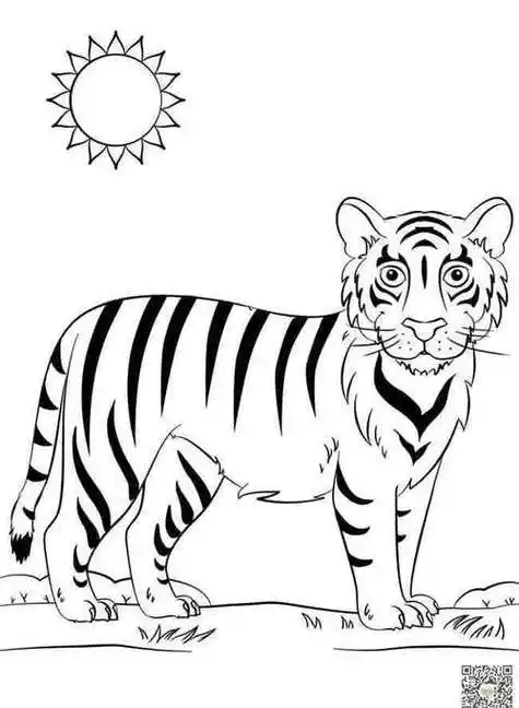 凶恶的老虎简笔画图片森林之王老虎简笔画图片大全老虎跑步简笔画10张