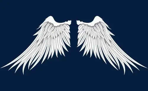 张开的矢量白色丰满羽翼