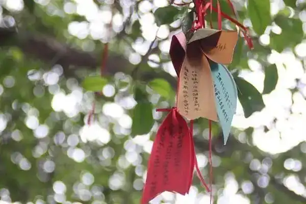 但是现在很多寺院为了随顺世间人的这种做法,偶尔也会有一些许愿树