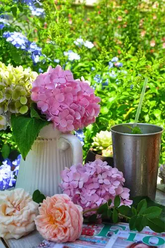 温暖而又惬意的午后,是岁月给予我们的温柔