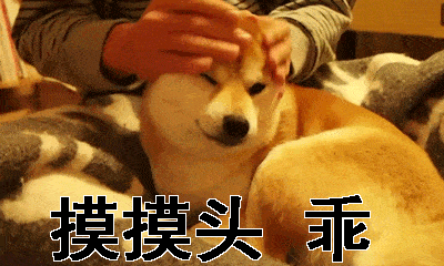 萌宠乖巧抚摸听话gif动图_动态图_表情包下载_soogif