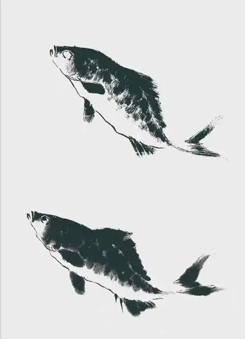 国画鱼的常见画法
