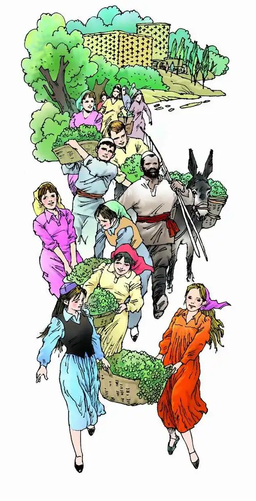 二年级语文下册葡萄沟图片素材