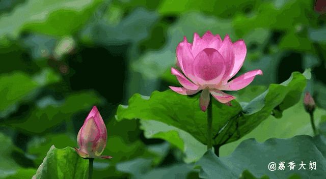 640_352gif 动态图 动图