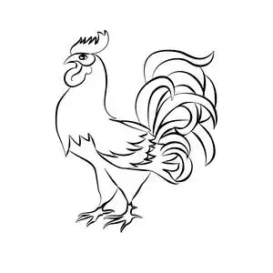 彩陶鸡素描图片