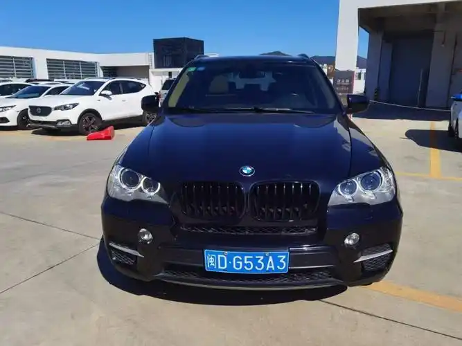 宝马 宝马x5  2011款 x5 4.4t 领先型图片