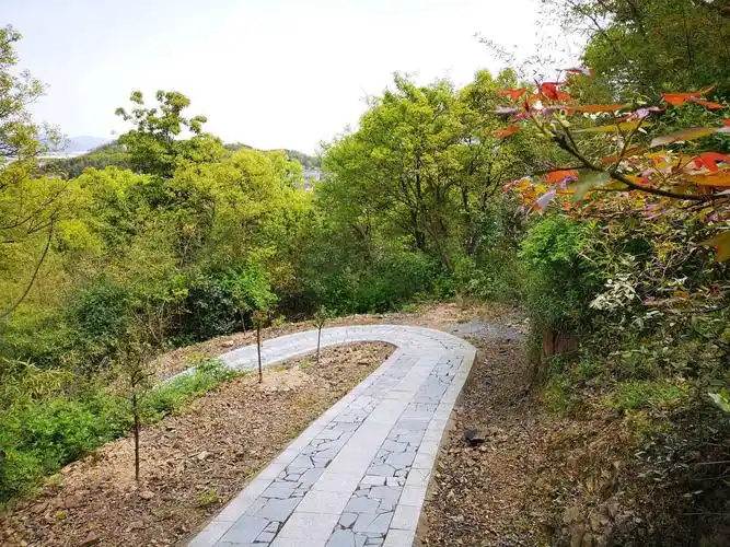 小区的春天,梅山游步道和河头村
