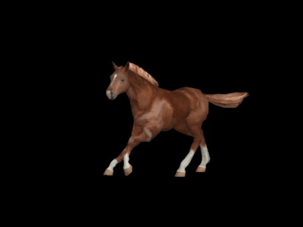 600_450gif 动态图 动图