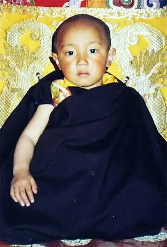 现世的第十一世巴沃仁波切是第十七世如来大宝法王噶玛巴于1994