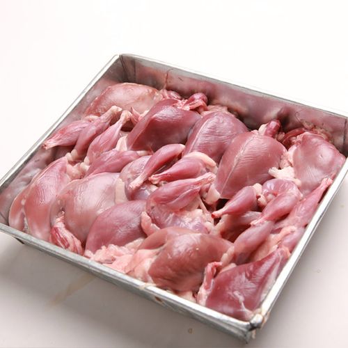 【20只】现杀扒皮大鹌鹑鲜活剥皮鹌鹑肉乳鸽烧烤