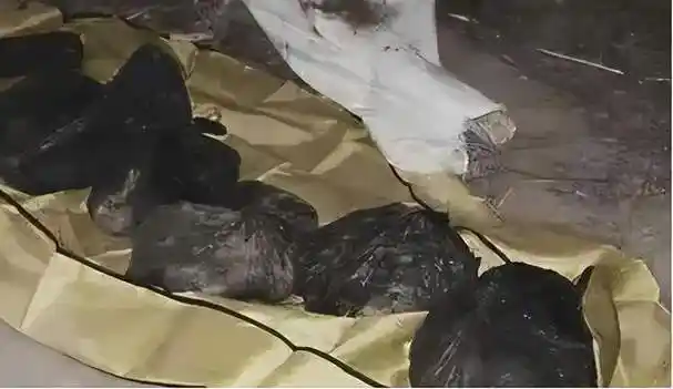 用身体诱惑男性,成功分尸4人,其中还有警察|尸体|杀人|尸块_网易订阅