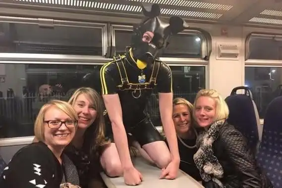 k9是什么意思字母圈(k0到k9都是什么)